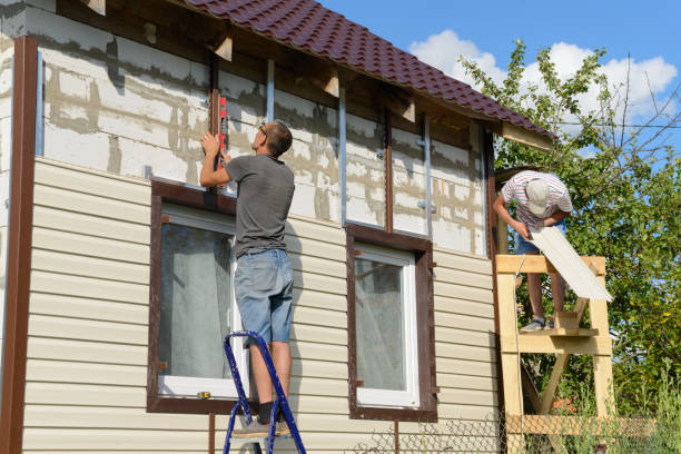 Best Residential Vinyl Siding Installation  in Hudson, MI